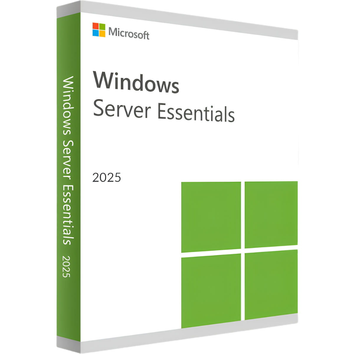 Windows Server 2025 Essentials