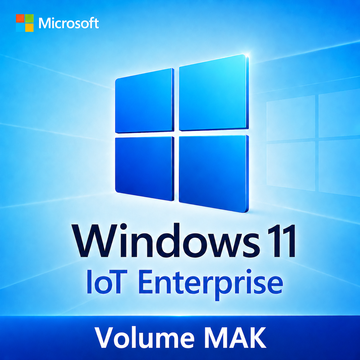 Windows 11 IoT Enterprise | 100 MAK