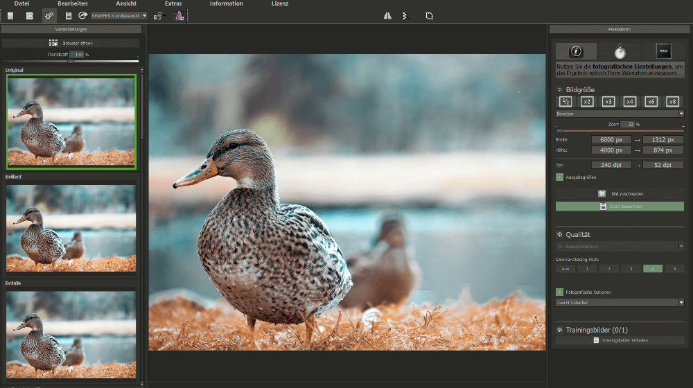 Ashampoo ZOOM #3 – Produktbild