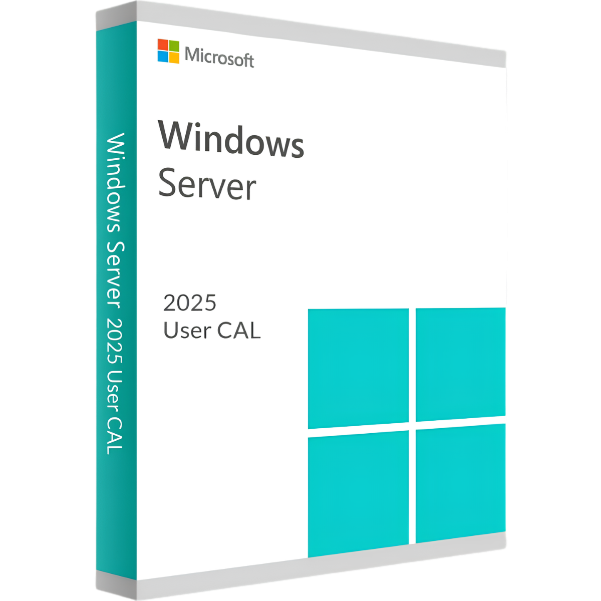 Microsoft Windows Server 2025 User CAL