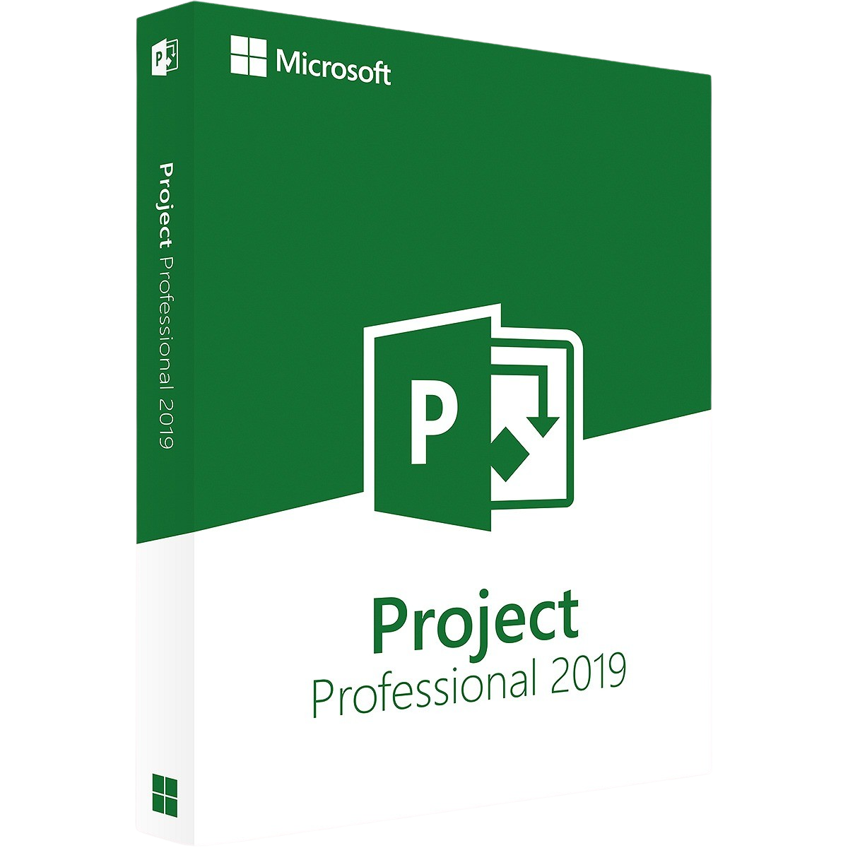 Microsoft Project 2019 Professional – Project Professional 2019