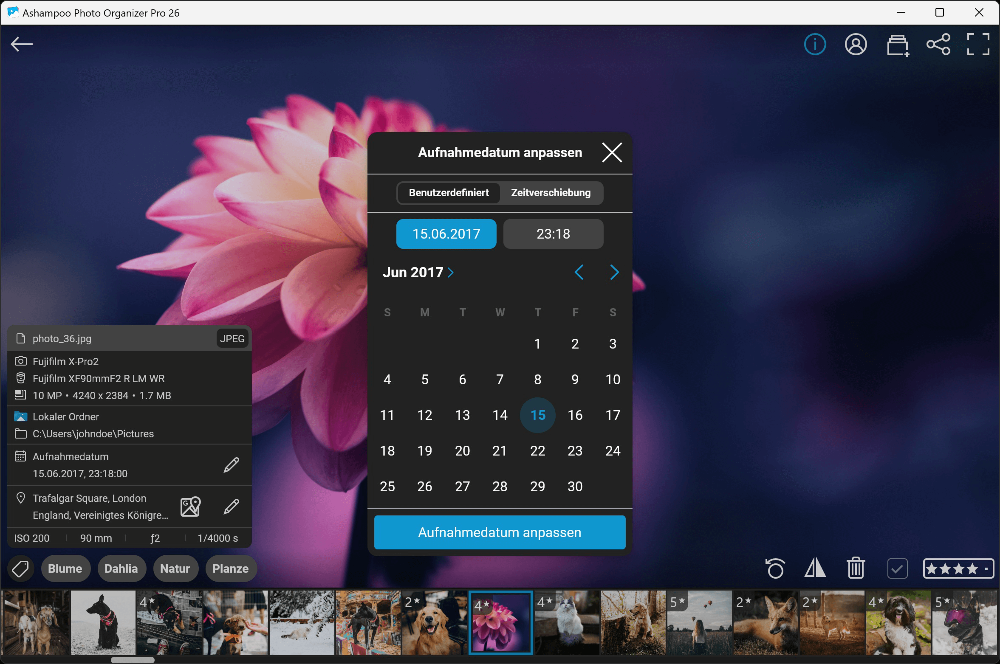 Ashampoo Photo Organizer Pro 26 – Produktbild