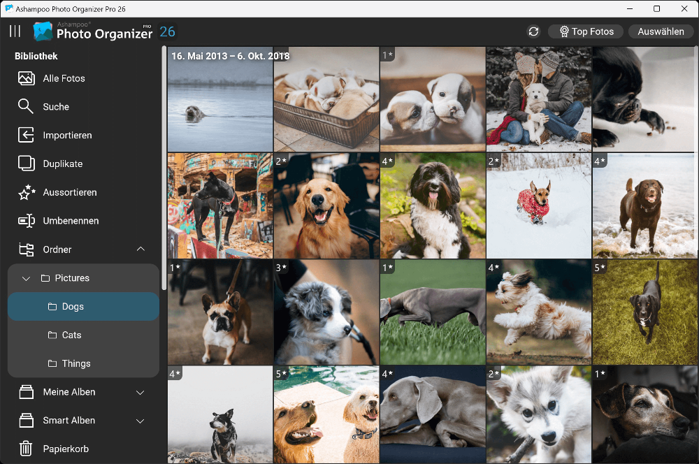 Ashampoo Photo Organizer Pro 26 – Produktbild