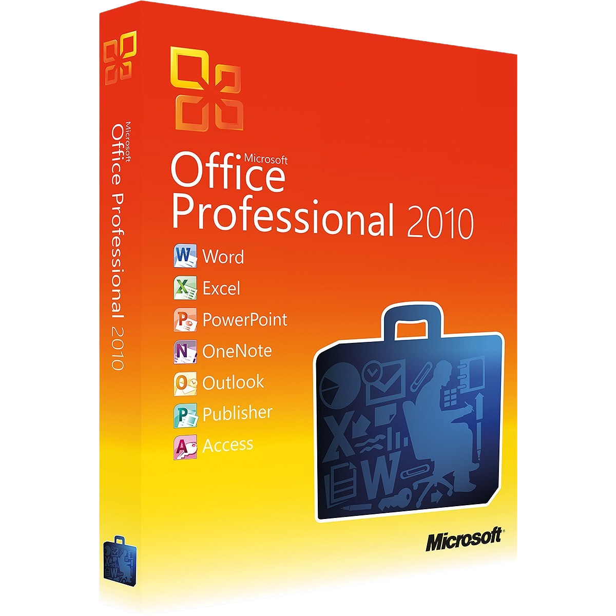 Office 2010 Professional – Produktbild