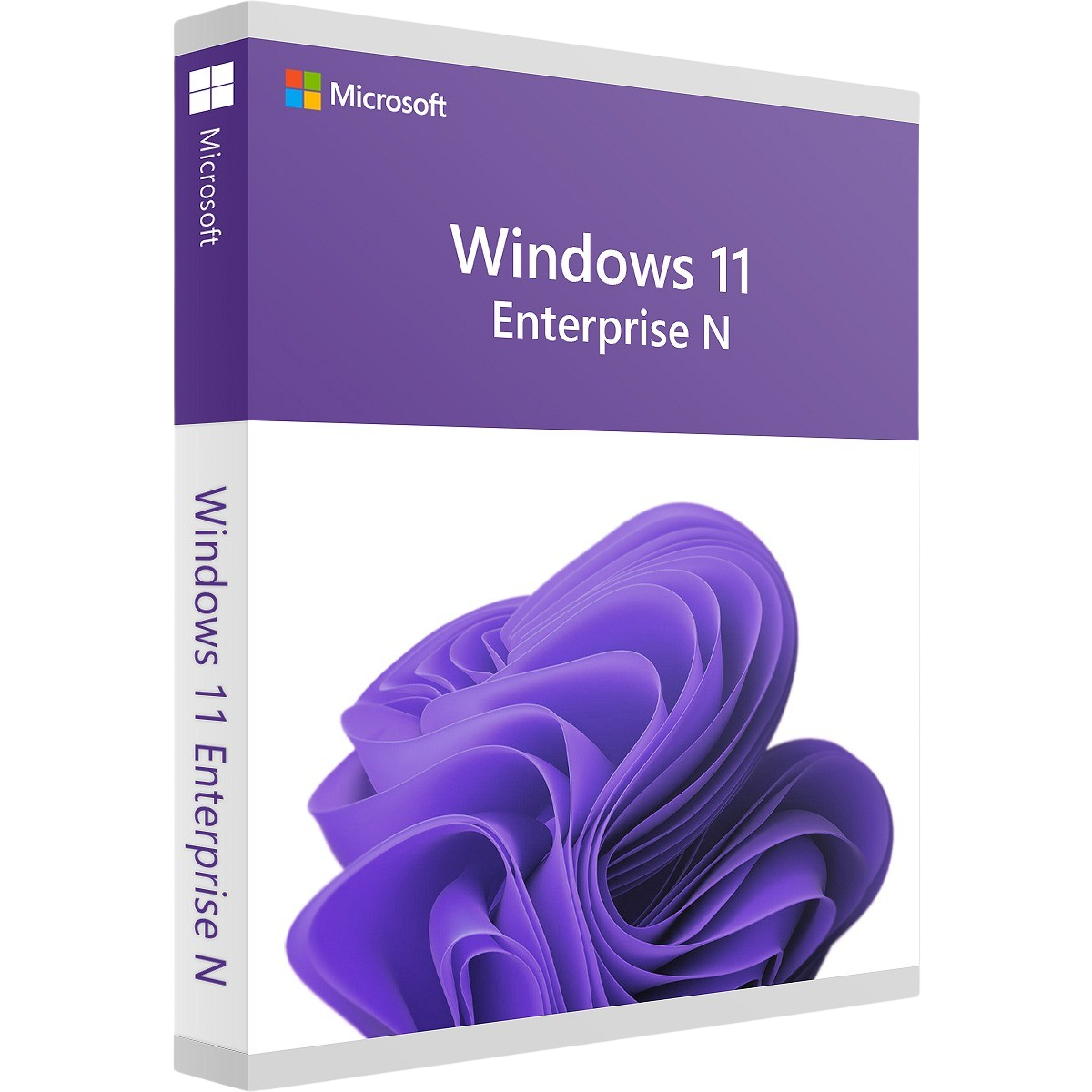 Windows 11 Enterprise N | LTSC 2024 – Produktbild