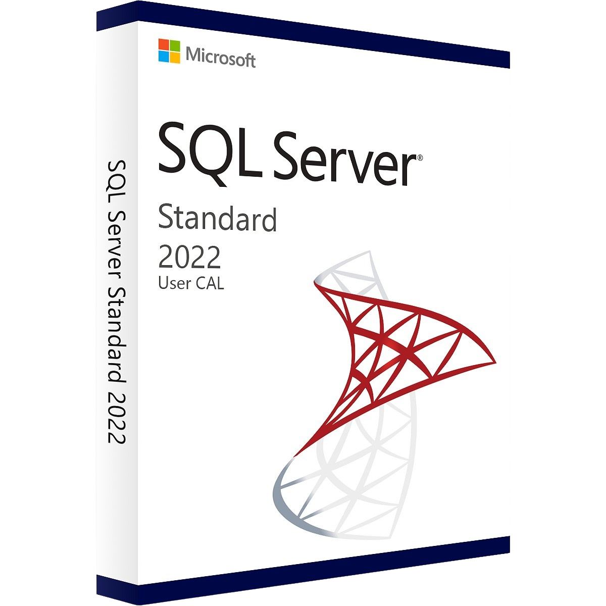 Microsoft SQL Server 2022 Standard User CAL