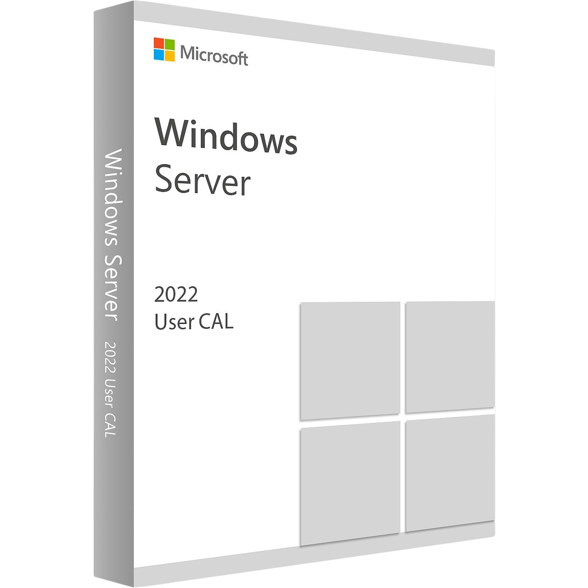 Microsoft Windows Server 2022 User CAL