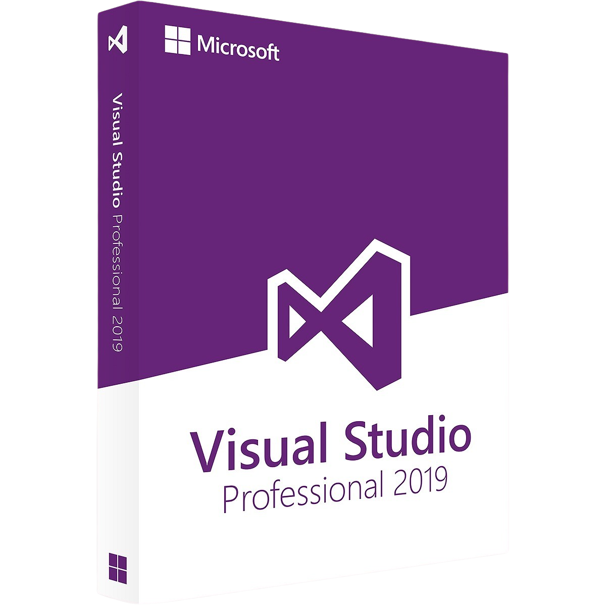 Visual Studio 2019 Professional – Produktbild