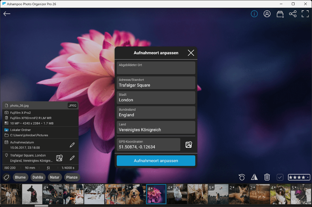 Ashampoo Photo Organizer Pro 26 – Produktbild